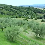 La Valle Dei Fiori Di Bellucci Rosanna Torre de' Calzolari