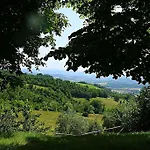 La Valle Dei Fiori Di Bellucci Rosanna