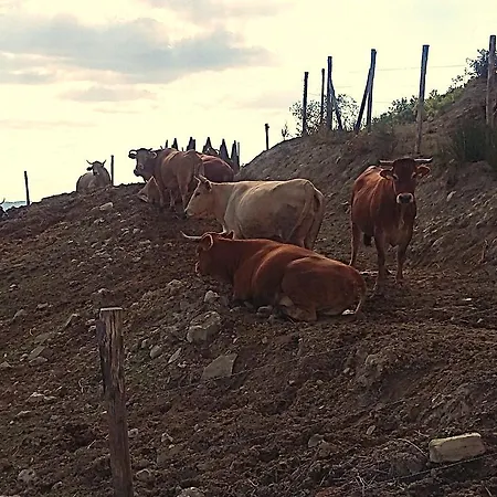 Alloggio per agriturismo La Valle Dei Fiori Di Bellucci Rosanna *