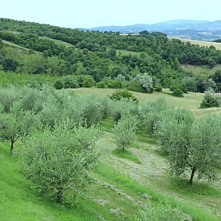 La Valle Dei Fiori Di Bellucci Rosanna Torre de' Calzolari