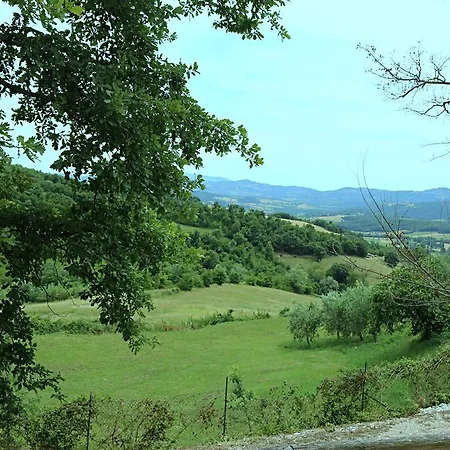 La Valle Dei Fiori Di Bellucci Rosanna
