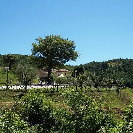 Bauernhof La Valle Dei Fiori Di Bellucci Rosanna Torre de' Calzolari