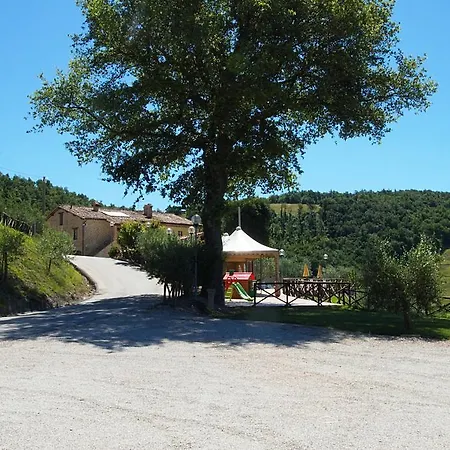 La Valle Dei Fiori Di Bellucci Rosanna