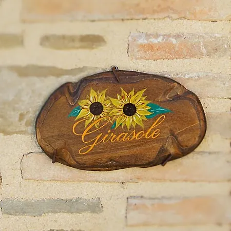 La Valle Dei Fiori Di Bellucci Rosanna