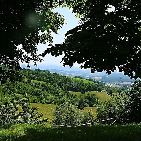 La Valle Dei Fiori Di Bellucci Rosanna